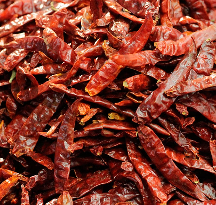 chiles017