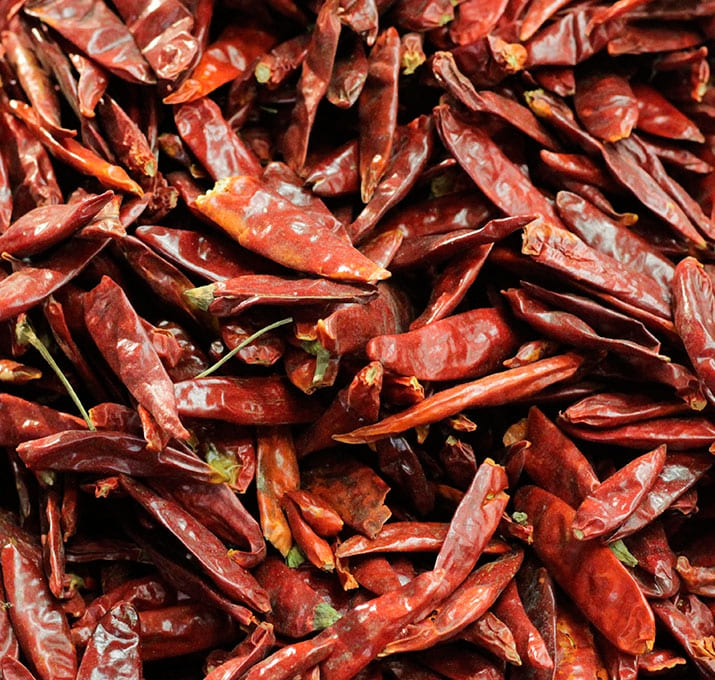 chiles018